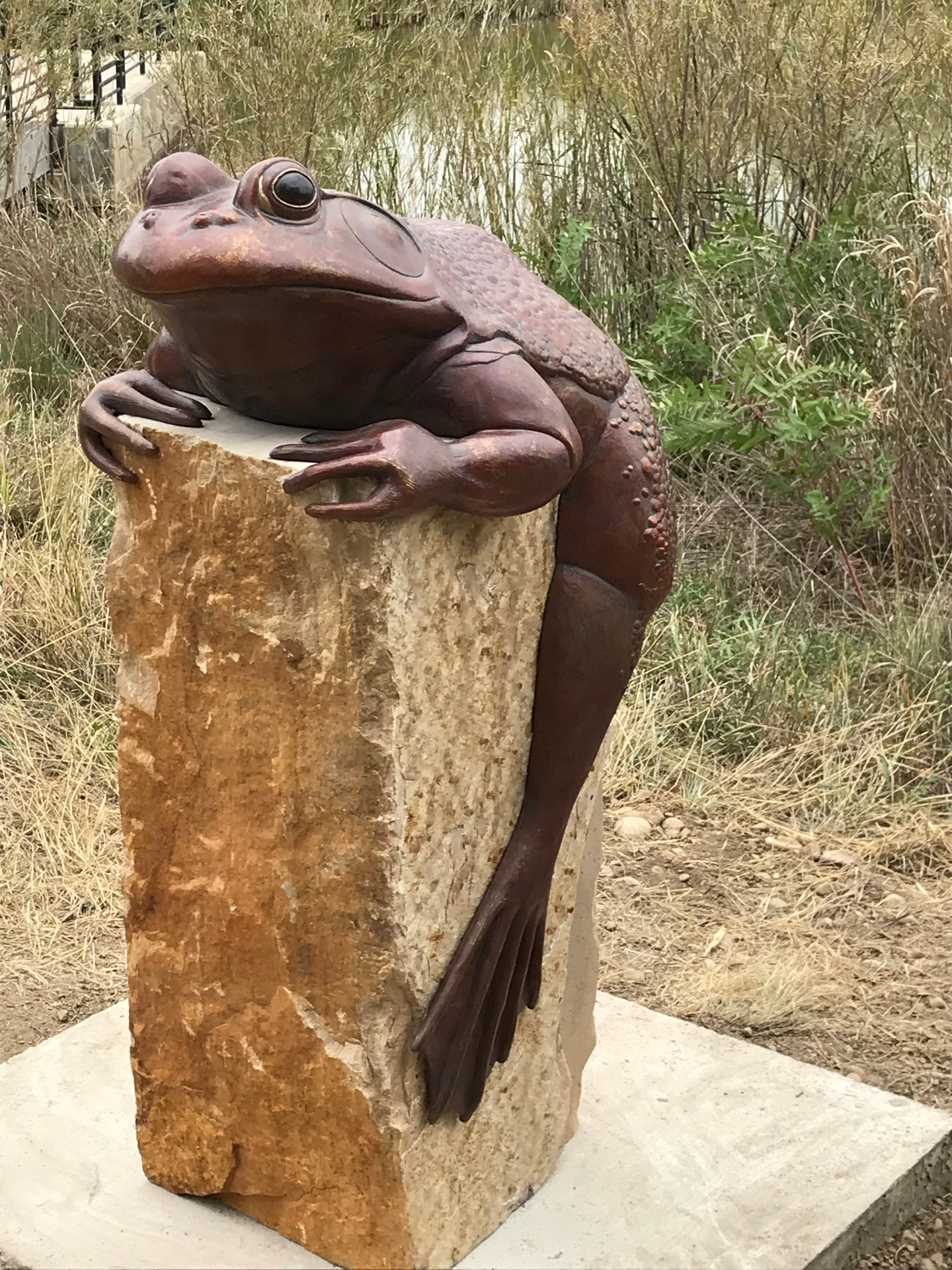 Guardian of the Golden Ponds
